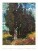 Nástenný kalendár Impressionists 2027 - Impressionists_VN_420x560_20277 - variant Sp N01-27
