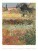 Nástenný kalendár Vincent van Gogh 2027 - Vincent-van-Gogh_VN_420x560_20277 - variant Sp N03-27