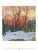 Nástenný kalendár Gardens Impressionism 2027 - Gardens-Impressionism_VN_420x560_202712 - variant Sp N08-27