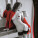 Nástenný kalendár Girls štvorec 2027 - Girls_VN_330x330_20276 - variant Sp N14-27