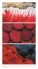 Nástenný kalendár Colours 2027 - Colours_VN_330x600_20279 - variant Sp N16-27
