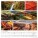 Nástenný kalendár Colours of nature 2027 - Colours-of-Nature_330x330_VN-202710 - variant Sp N17-27
