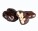 DRAGEE PECAN – pekanové orechy v horkej a mliečnej čokoláde - s055019-2 - variant 