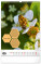 NOTIQUE Nástenný kalendár Včelařský – Včelársky CZ/SK 2027, 33 x 46 cm - pgn-36858-l_05 - variant Pg PGN-36858-L
