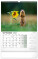 NOTIQUE Nástenný kalendár Poľovnícky 2027, 33 x 46 cm - pgn-36861-sk-l_09 - variant Pg PGN-36861-SK-L