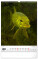 NOTIQUE Nástenný kalendár Rybářský – Rybársky CZ/SK 2027, 33 x 46 cm - pgn-36862-l_09 - variant Pg PGN-36862-L