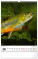 NOTIQUE Nástenný kalendár Rybářský – Rybársky CZ/SK 2027, 33 x 46 cm - pgn-36862-l_10 - variant Pg PGN-36862-L