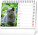 NOTIQUE Stolový kalendár Mačky – s menami mačiek 2027, 16,5 x 13 cm - pgs-36876-sk_kal - variant Pg PGS-36876-SK