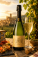 Caves Rigol, Rigol brut cava - s062061-4 - variant 