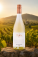 Biele víno – Tajna Vineyard & Winery, Sauvignon blanc Fresh 2024 - s062069-2 - variant 