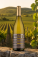 Biele víno – Martin Pomfy, Riesling 2024 Jasová - s062070-2 - variant 