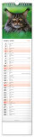 NOTIQUE Nástenný kalendár Mačky CZ/SK 2027, 12 x 48 cm - pgn-36844-l_04 - variant Pg PGN-36844-L