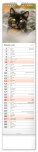 NOTIQUE Nástenný kalendár Mačky CZ/SK 2027, 12 x 48 cm - pgn-36844-l_06 - variant Pg PGN-36844-L