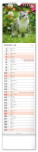 NOTIQUE Nástenný kalendár Mačky CZ/SK 2027, 12 x 48 cm - pgn-36844-l_07 - variant Pg PGN-36844-L