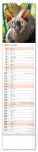 NOTIQUE Nástenný kalendár Mačky CZ/SK 2027, 12 x 48 cm - pgn-36844-l_08 - variant Pg PGN-36844-L