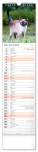 NOTIQUE Nástenný kalendár Mačky CZ/SK 2027, 12 x 48 cm - pgn-36844-l_09 - variant Pg PGN-36844-L
