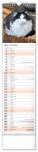 NOTIQUE Nástenný kalendár Mačky CZ/SK 2027, 12 x 48 cm - pgn-36844-l_10 - variant Pg PGN-36844-L