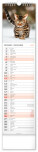 NOTIQUE Nástenný kalendár Mačky CZ/SK 2027, 12 x 48 cm - pgn-36844-l_12 - variant Pg PGN-36844-L