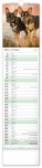 NOTIQUE Nástenný kalendár Psy CZ/SK 2027, 12 x 48 cm - pgn-36845-l_10 - variant Pg PGN-36845-L