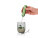 AdHoc Matcha set Chado - rbms35-b-6-956b02a73e424c948cb6928ec848a3f5 - variant 