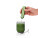 AdHoc Matcha set Chado - rbms35-b-8-89c135418b4d4597b44b058d8a812385 - variant 