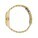 ICE steel-Gold-Small-SOLAR 3H - ISS23791_Z-1 - variant Ps ISS23791