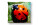 Vankúš 40 × 40 cm zo saténu (sublimačná potlač 2 strany) - frontend-item-51-img-16636794039951 - variant 