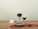 Aerato red wine carafe karafa na červené víno