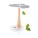 Reklamnepredmety Ginkgo solar tree 4.000mAh power banka