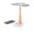 Reklamnepredmety Ginkgo solar tree 4.000mAh power banka