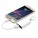 Reklamnepredmety 1.000 mAh keychain powerbank