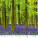 Kalendár Les - N171-27_005 - variant He N171-27