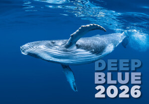 Kalendár Deep Blue - Reklamnepredmety