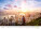 Kalendár New Horizons - N135-27_004 - variant He N135-27