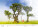 Kalendár New Horizons - N135-27_006 - variant He N135-27