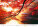 Kalendár New Horizons - N135-27_011 - variant He N135-27