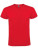 RY6424 Atomic 150 T-Shirt - RY6424_Red-60 - variant Ls 1000282780