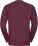 762M Pánska mikina s okrúhlym výstrihom - ps-10762m-russell-athletic-762m-burgundy-back-c5afdcd7-c7b5-4fe2-8222-bcc205534d29-web - variant 