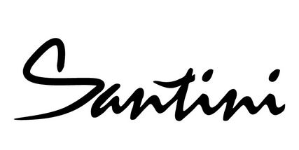 Santini logo